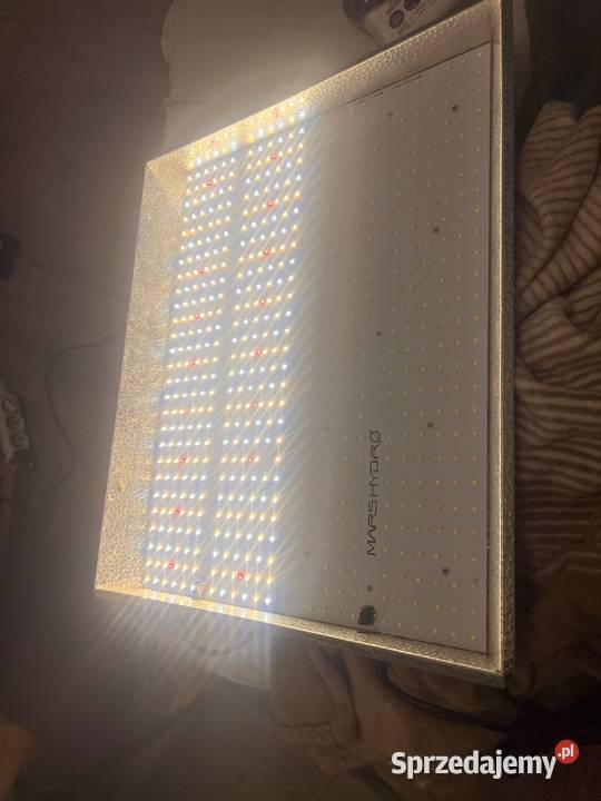 Lampa LED Grow Mars Hydro TSW 2000 300 Watt Full Kraśnik sprzedam