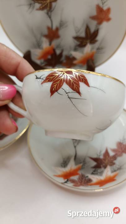 Dwa razy trio jesienne liście azjatycka Zamość