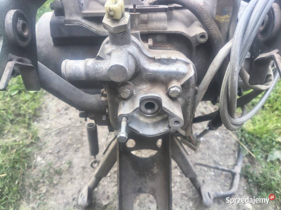 Silnik Peugeot Jetforce tsdi pomorskie Skarszewy
