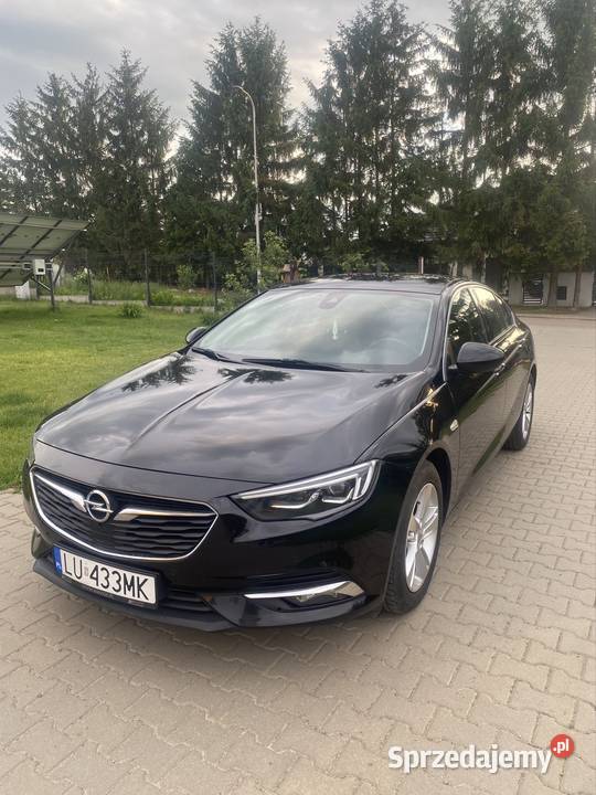 Opel Insignia 2019 elektryczne szyby Ciecierzyn