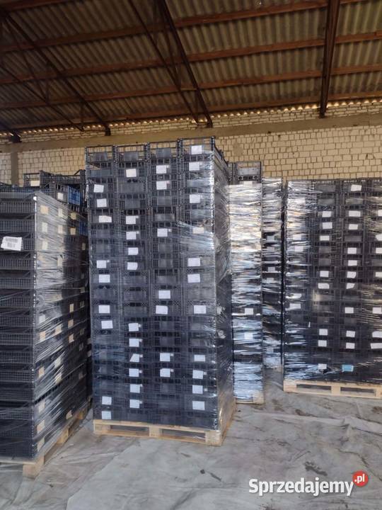 Skrzynki łuszczki łódzkie Sobota sprzedam