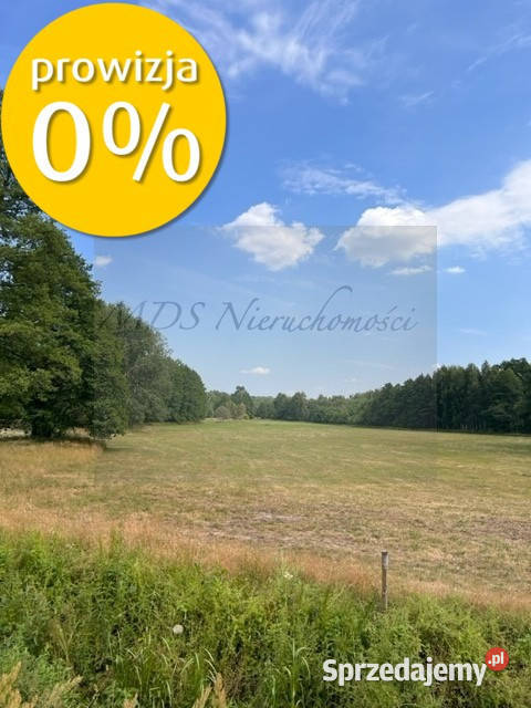 działka z WZ Węgrów Szamoty mazowieckie