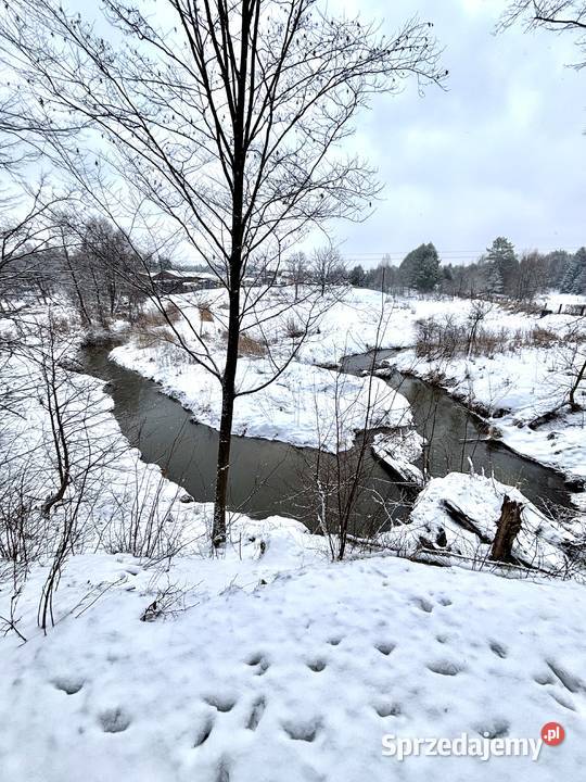 las działka leśna Nadrzecze k Biłgoraja część lubelskie sprzedam