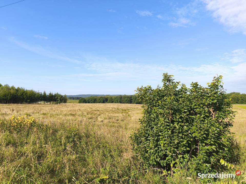 Z dala spojrzeń sąsiadów 66zł/m2 Grunty i działki pomorskie Chocielewko