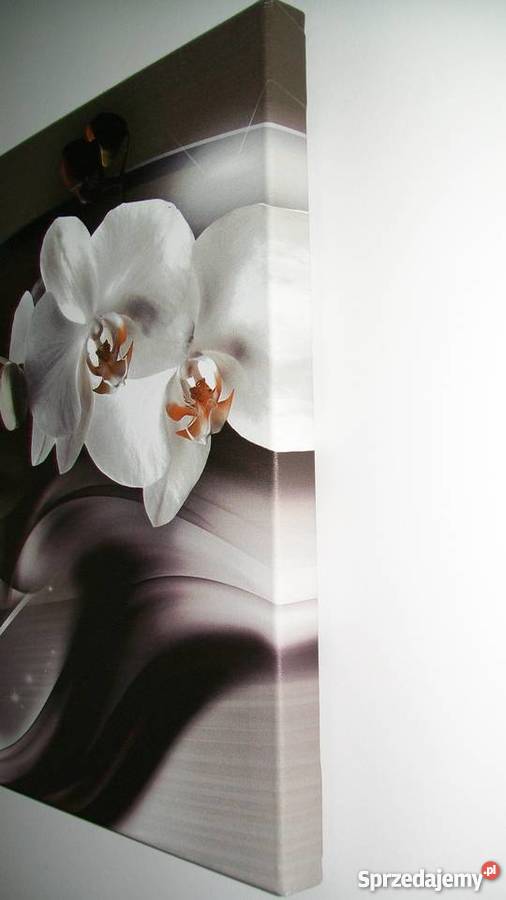 Obraz mazowieckie Warka