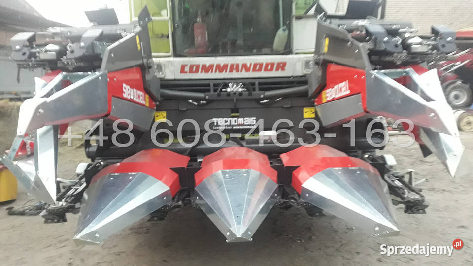 Przystawka do kukurydzy TECNOMAIS 5 rzędowa Gołaczewy sprzedam