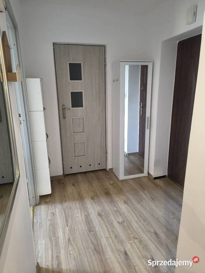 Wynajmę mieszkanie dwu pokojowe w Wąbrzeźnie kujawsko-pomorskie Wąbrzeźno sprzedam