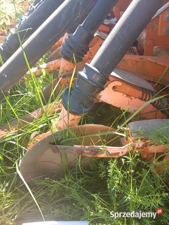 Siewnik Amazone talerzowy 3 m Leszno