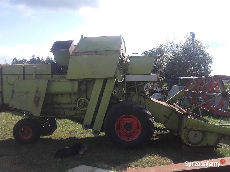 Kombajn CLASS Protekctor nieuszkodzony lubelskie Łowcza
