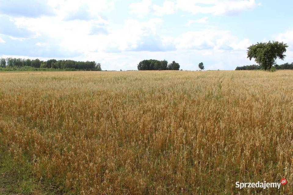 Działka rolno rekreacyjna podlaskie Ciechanowiec sprzedam