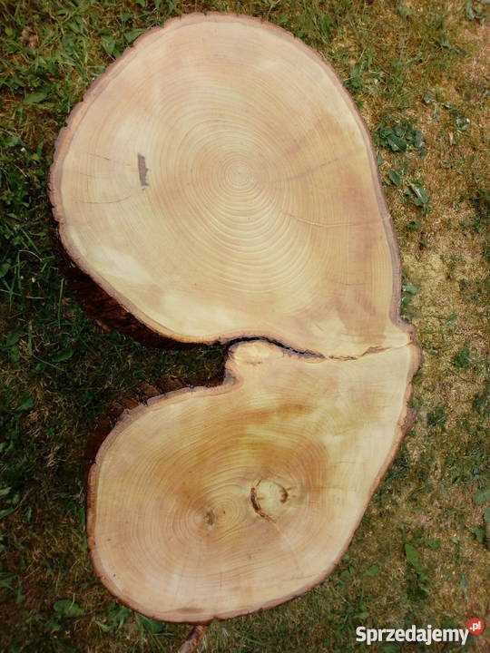 Stolik z plastra PNIA Radońsk