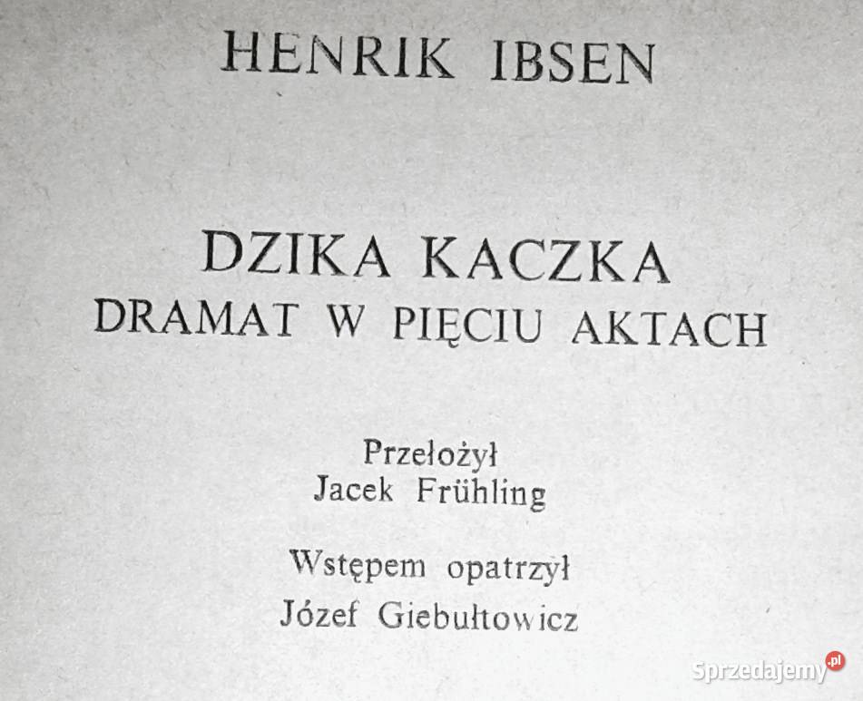 Dzika kaczka Henrik Ibsen lubelskie Chełm sprzedam