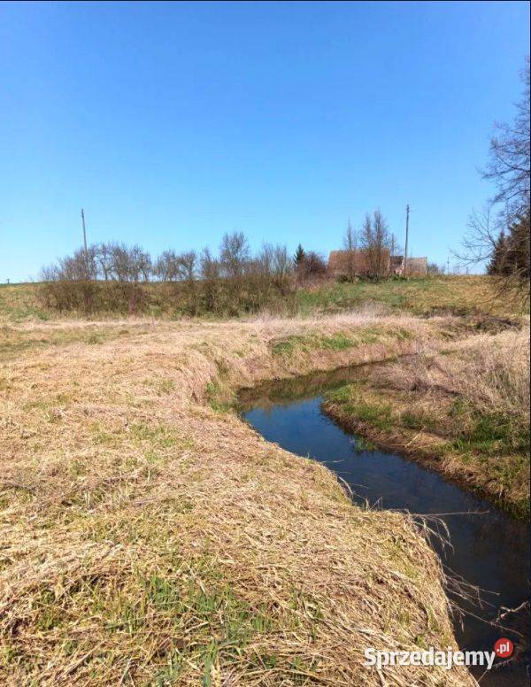 Działka z linią brzegową 130 m Nieruchomości Brzeźnica