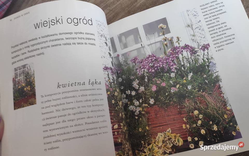 Ogród w oknie na wyciągnięcie ręki dom i ogród Gdańsk