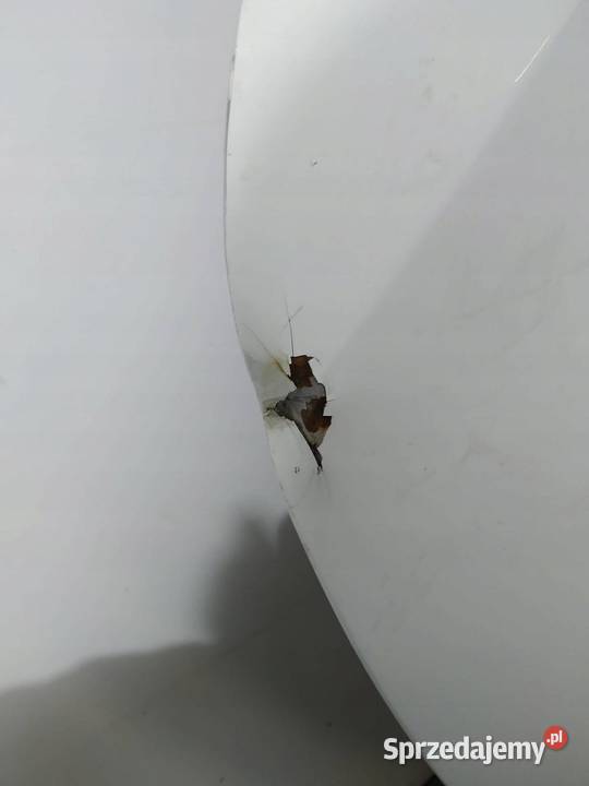 MASKA PRZÓD BIAŁA 3M USZKODZONA Hyundai ix55 I