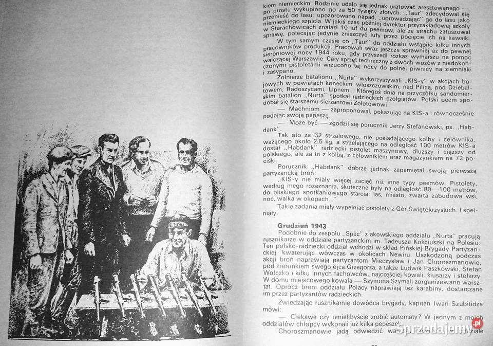 Steny biją celnie Stanisław Maria Jankowski miękka Chełm