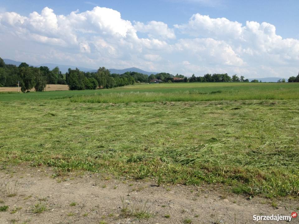 Działka budowlana Skoczów 1520 m 39m Wilamowice