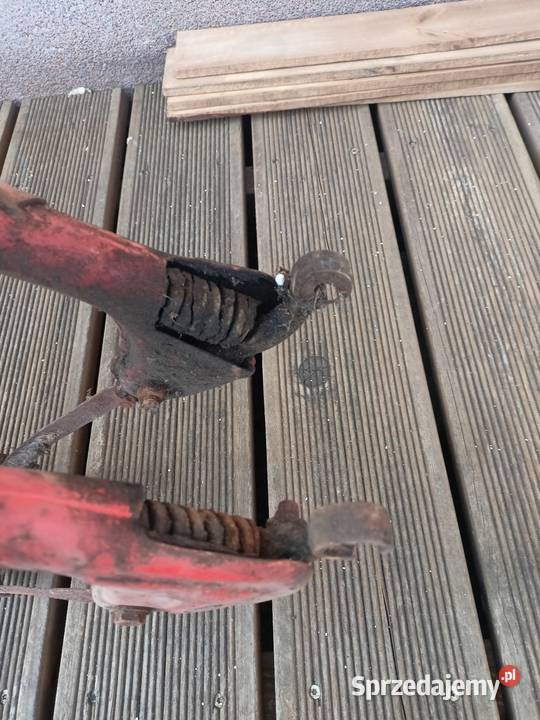 Komar sztywniak zawieszenie lagi Olesno