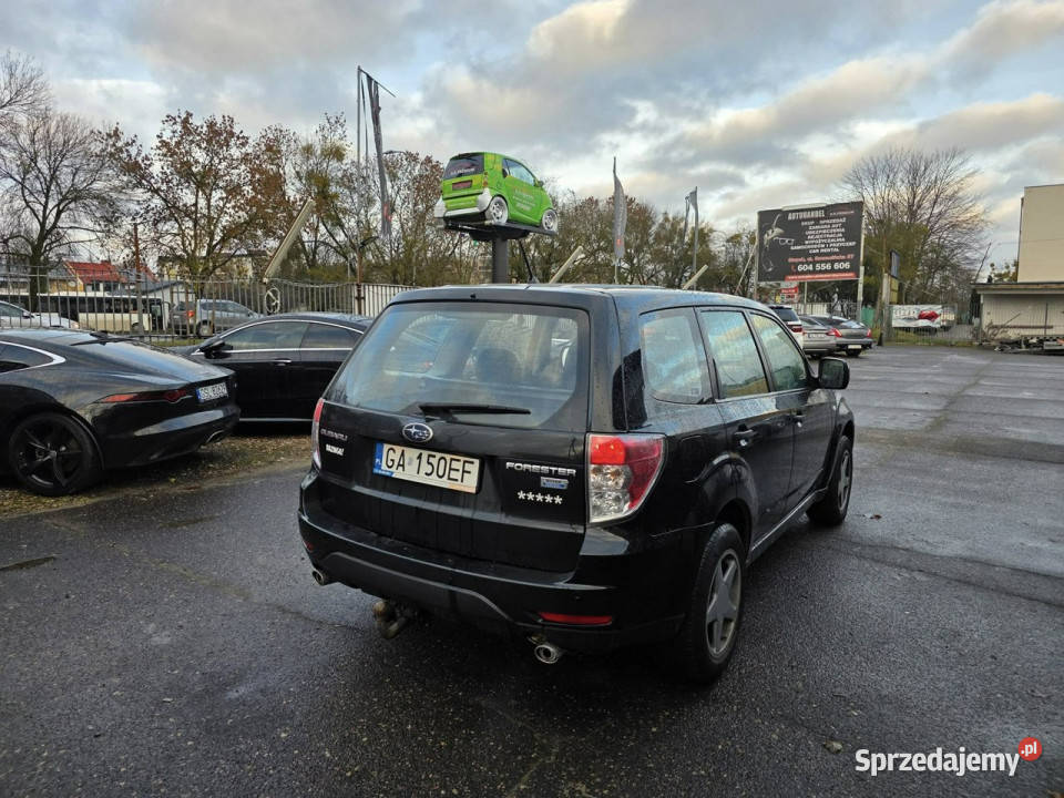Subaru Forester 20 D 147 Klimatyzacja Skóra 4x4 Zarejestrowany w Polsce Słupsk
