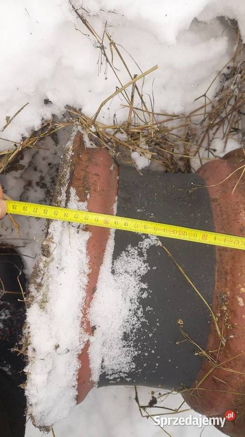 kolo podporowe do pługa mazowieckie