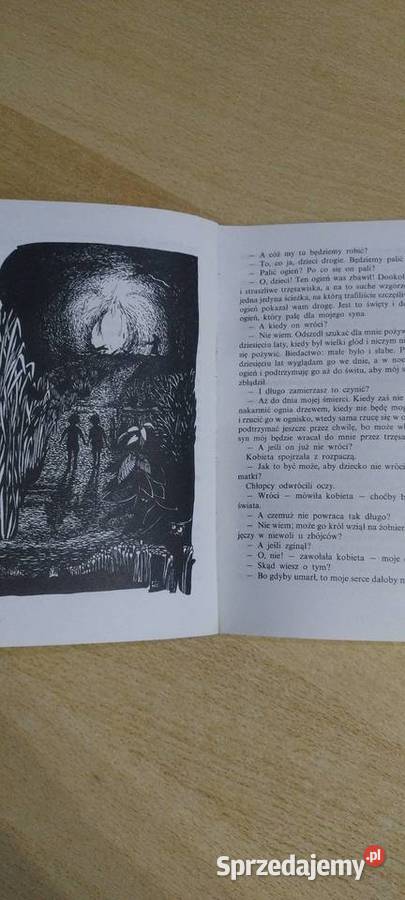 O dwóch takich co ukradli księżyc lubelskie Lublin