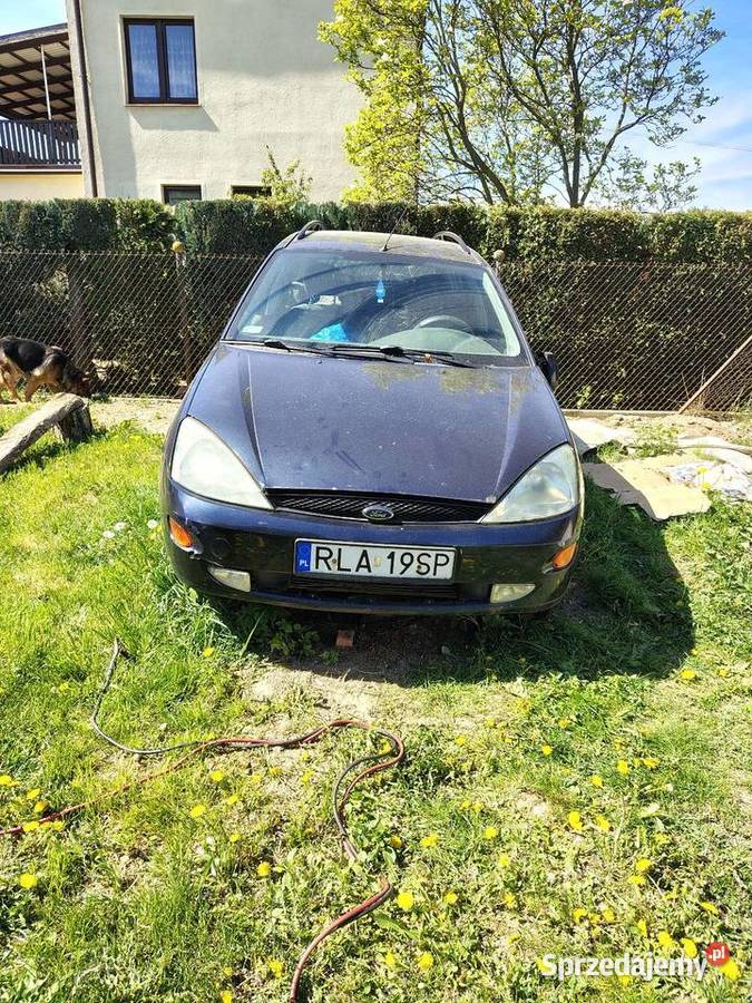 Sprzedam 2x Ford Focus 3100 manualna Sandomierz sprzedam