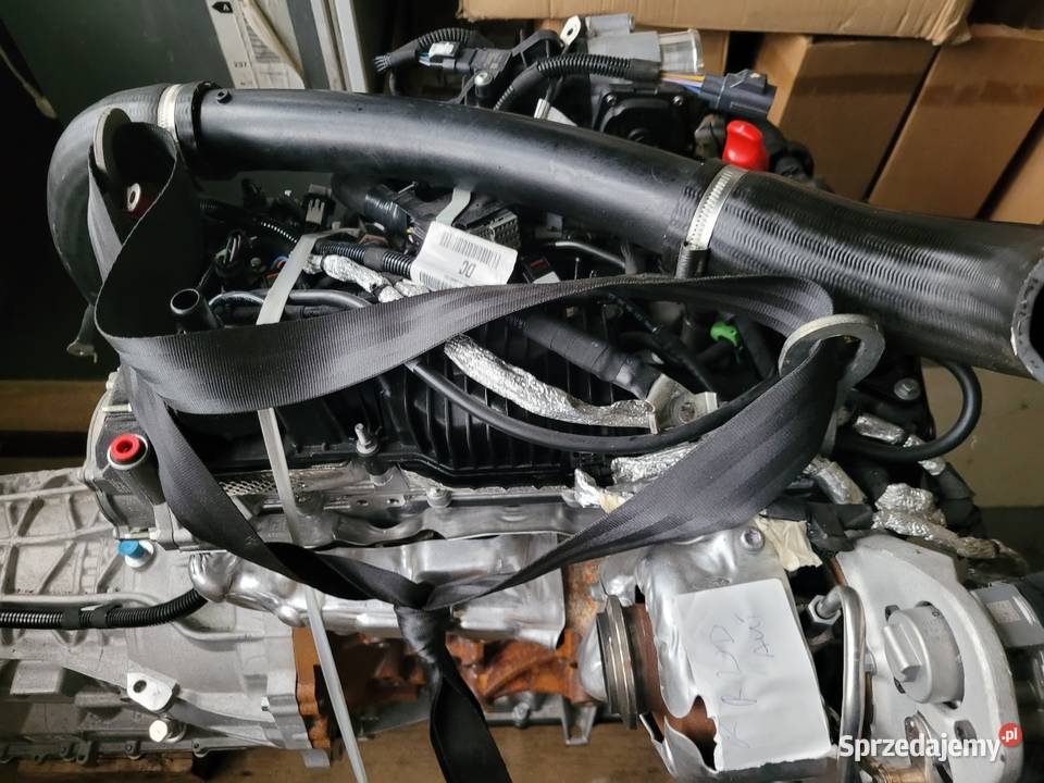 SILNIK FORD TRANSIT BLRA BLHA MK3Q6007B1A dostawcze