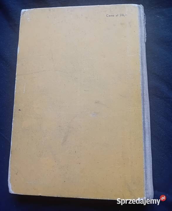 Alina NoferŁadyka Literatura polska okresu Koźminek sprzedam