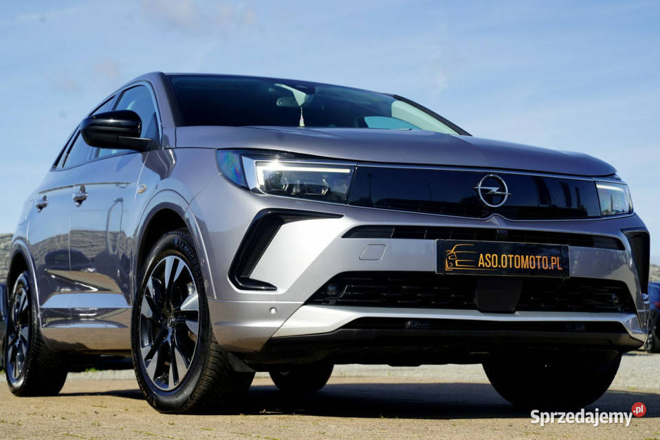Opel Grandland X FUL LED skóra NAWI automat8 opolskie Otmuchów