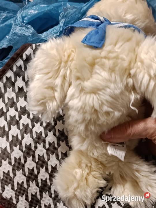 foka Dąbki zabawka pluszowa maskotka pluszak Maskotki