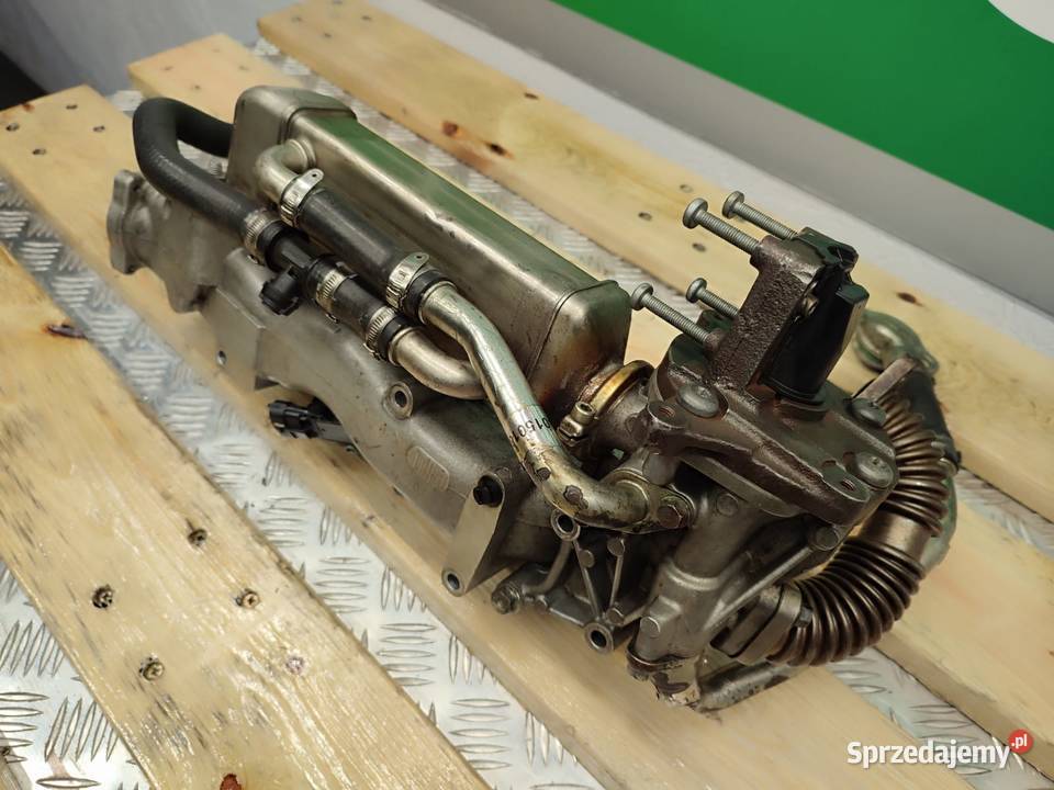 Kolektor ssący 58001546383 Perkins Wilkowo