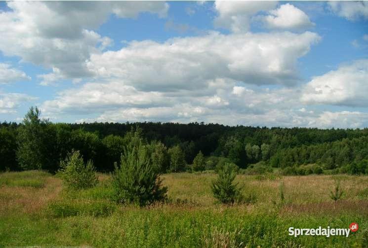 Gardeja działka budowlana26000m2 działki 1200m2 Gardeja