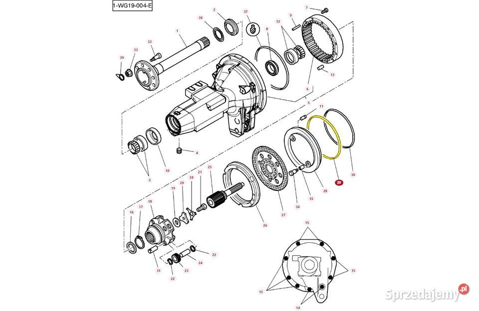 Oring zwolnicy tylnego mostu Massey Ferguson