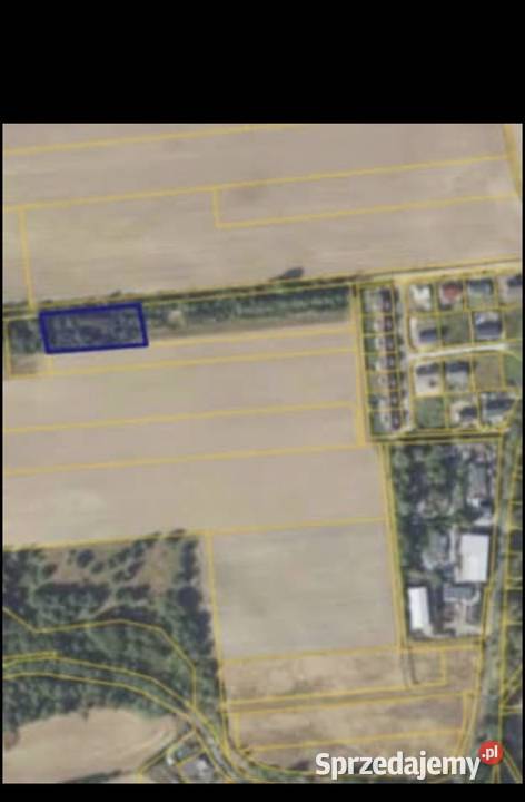 Na sprzedaż 3 działki budowlane z warunkami Sulęcin