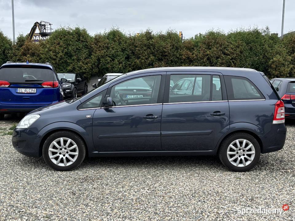 Opel Zafira Van / Minibus śląskie Paniówki