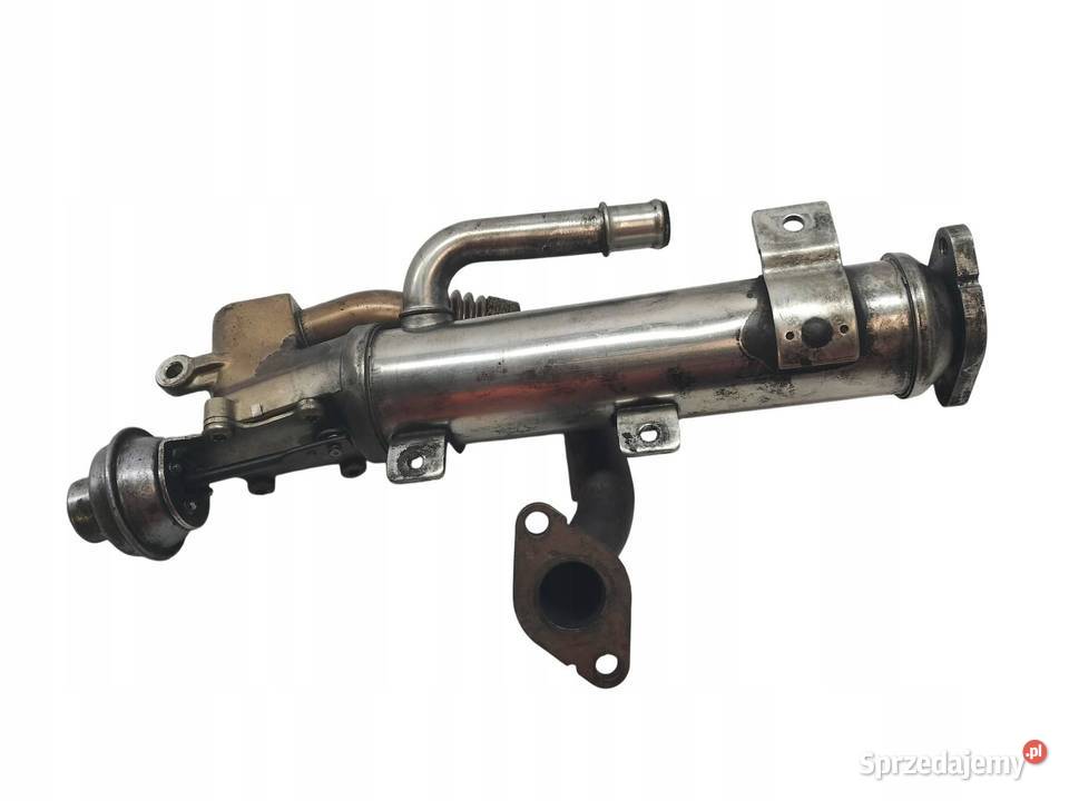 CHŁODNICA SPALIN 03G131512AL 20 TDI Audi A4 III