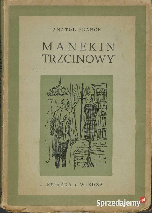 Manekin trzcinowy France zachodniopomorskie Goleniów
