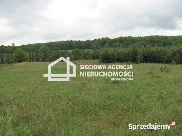 sprzedaży gruntu 5600m2 Marszewska Góra