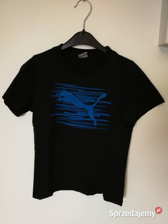 koszulka z krótkim długim rękawem polo tshirt zachodniopomorskie Szczecin