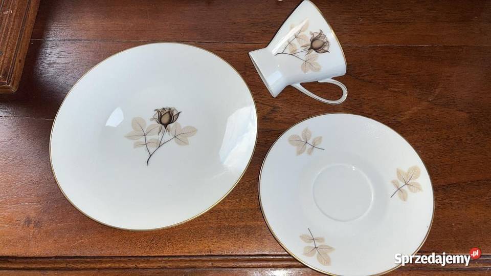 Filiżanka Seria Schattenrose Rosenthal Model Gdańsk