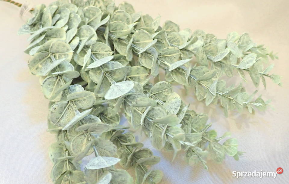 Dekoracja gałązka eukaliptusa ozdobna zielona 44 Siewierz sprzedam