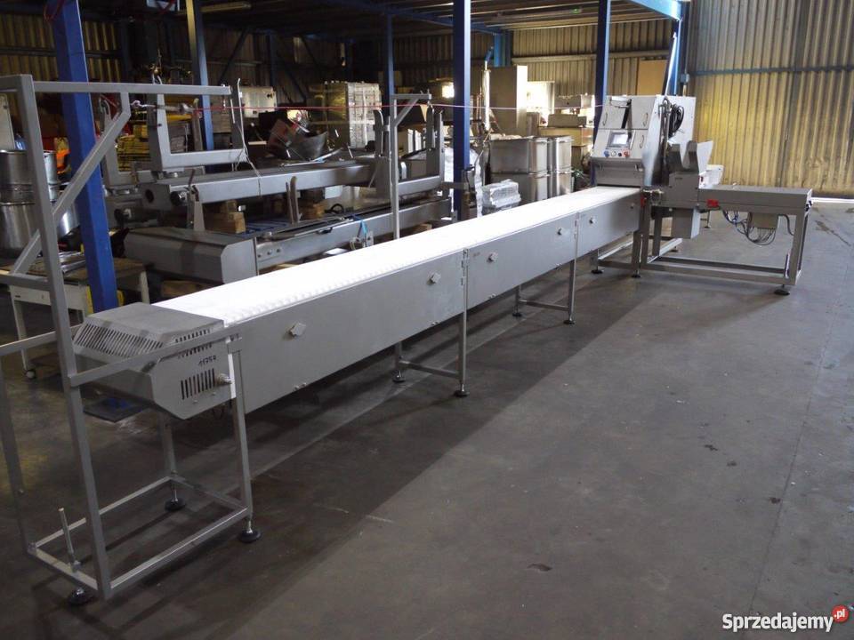 Szaszłykarka Emsens model EVOLUTION Poznań