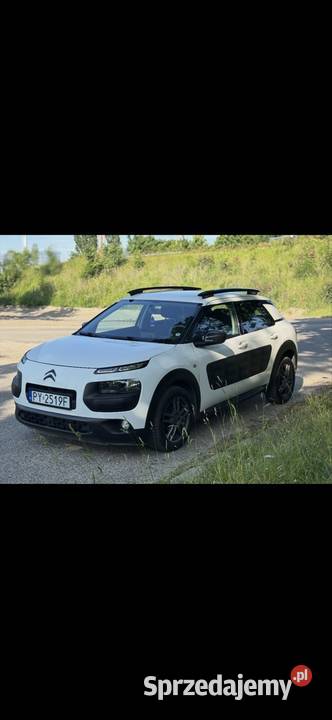 C4 cactus zamiana C4 Cactus Poznań