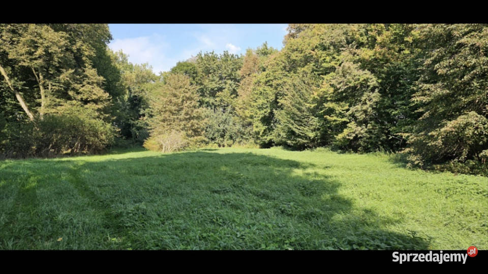 Unikatowy park pod Warszawą