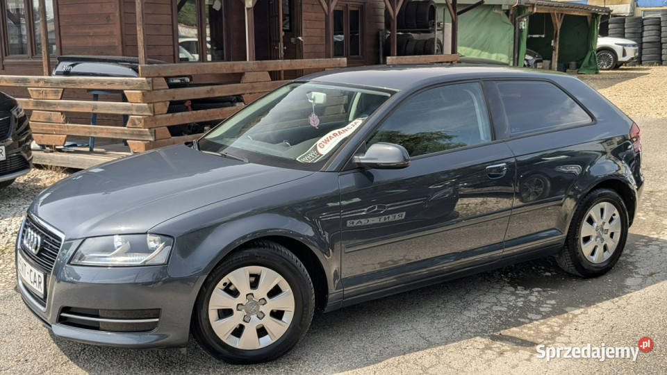 Audi A3 3drzwiowe 16TDi105OPŁACONYBezwypadkowy diesel