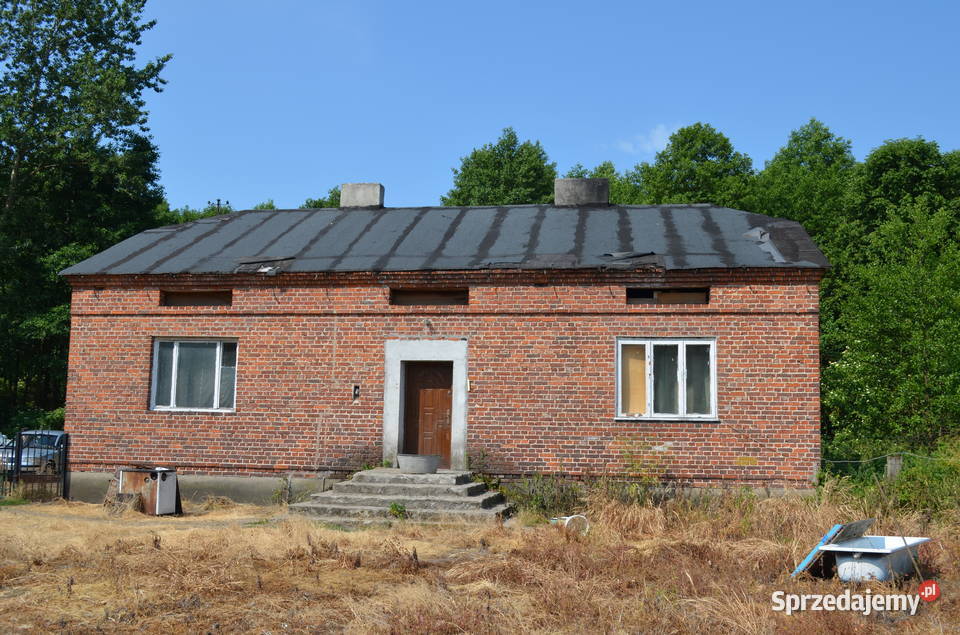 Sprzedam gospodarstwo rolne z domem i budynkiem 80m2 Lipie Góry