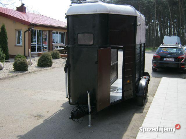 Ifor Williams Trailers przyczepa do koni wielkopolskie Jarocin