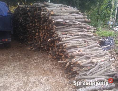 Drewno opałowe SAM BUK Transport