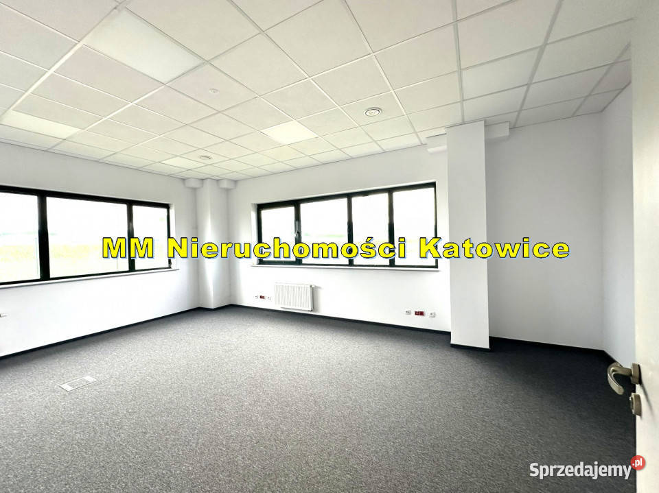 Hale do wynajęcia do 13000 m2 różne powierzchnie 8740m2 Ruda Śląska