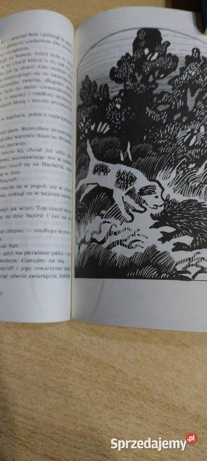 Tajemnicza wyspa Lublin